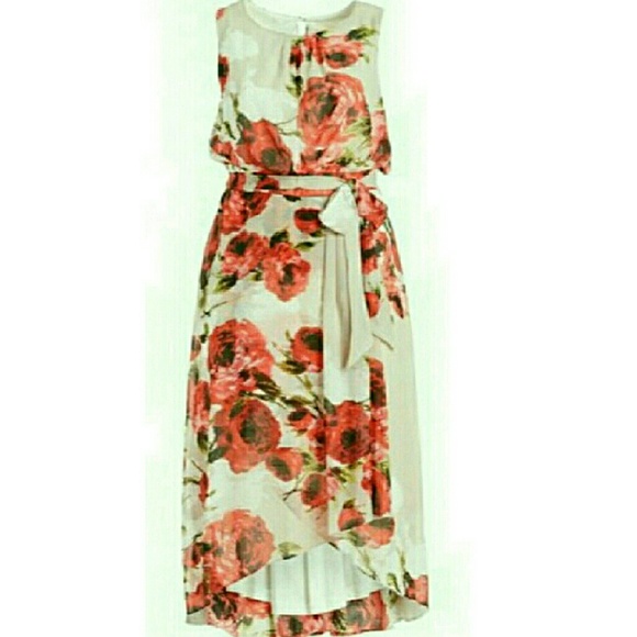 Shelby & Palmer Dresses & Skirts - Shelby & Palmer Hi Low Dress